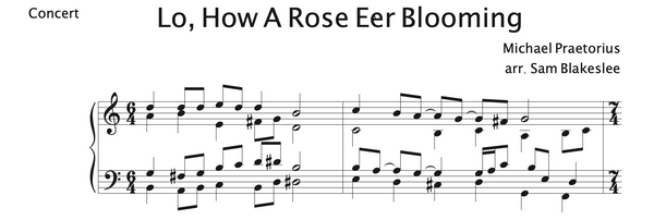 Lo, How A Rose E’er Blooming