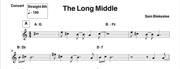 The Long Middle